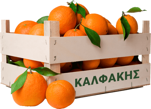 Πορτοκάλι