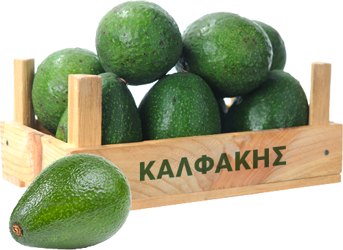 Αβοκάντο